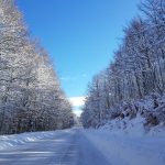 Lo straordinario spettacolo della NEVE in SILA: una magia che non smette mai di sorprendere [GALLERY]