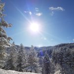 Lo straordinario spettacolo della NEVE in SILA: una magia che non smette mai di sorprendere [GALLERY]