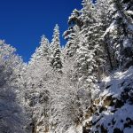 Lo straordinario spettacolo della NEVE in SILA: una magia che non smette mai di sorprendere [GALLERY]