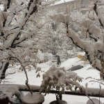 Freddo e maltempo, inizio Dicembre dal sapore Invernale in tutt’Italia. Piemonte sotto la NEVE, Cuneo sommersa [GALLERY]