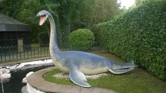 plesiosauro