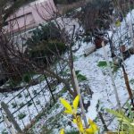 Lo straordinario spettacolo di Ponza imbiancata dalla gragnola [GALLERY]