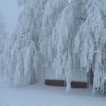 Previsioni Meteo, ondata di FREDDO in intensificazione sull’Italia: temperature in picchiata e GELATE diffuse