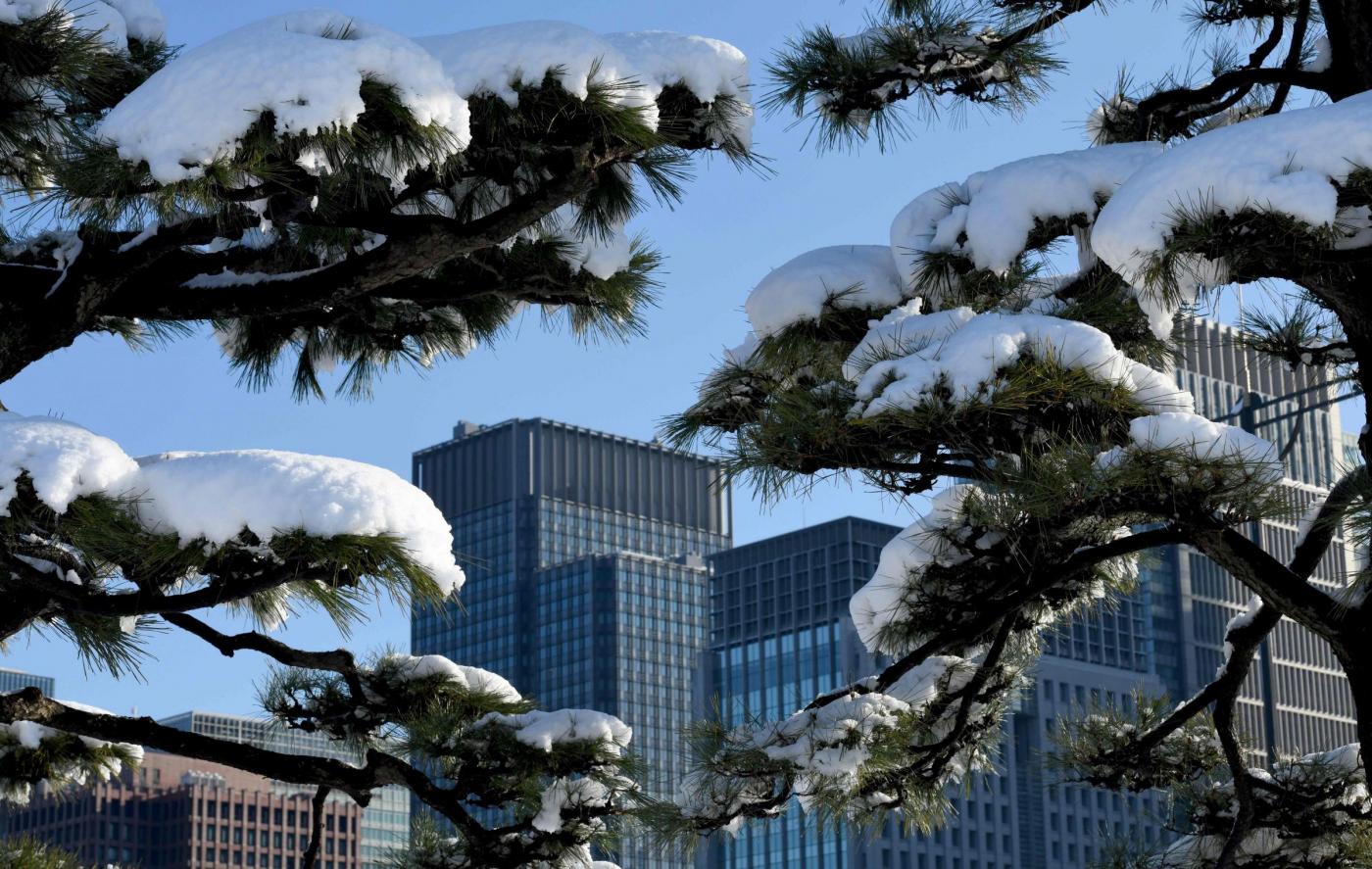 Giappone neve Tokyo