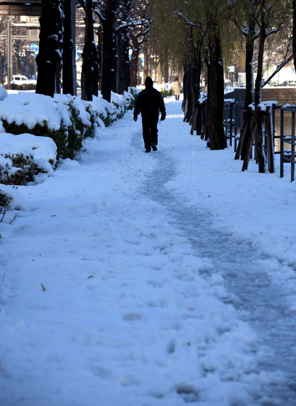 Giappone neve Tokyo