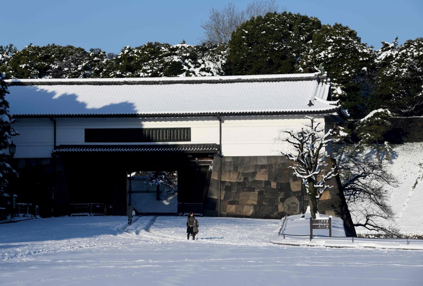 Giappone neve Tokyo