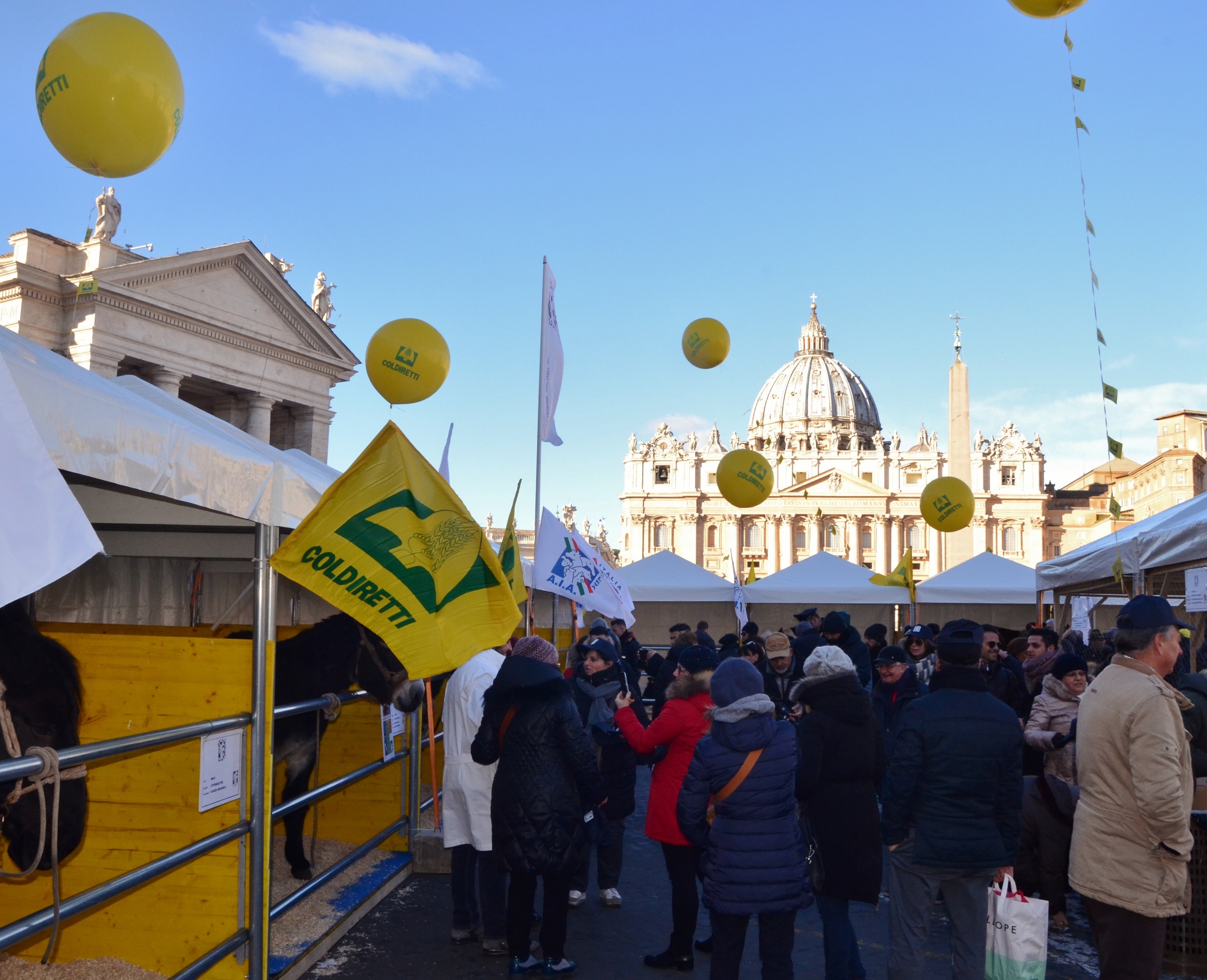 coldiretti sant'antonio