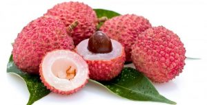 Litchi