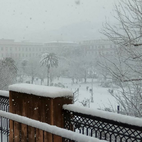 neve ancona burian