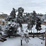 Maltempo, il Burian sferza l’Italia: GELO incredibile al Nord, tanta NEVE al Centro fino a ROMA e NAPOLI. Ai margini il Sud