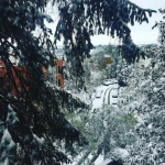 Maltempo, il Burian sferza l’Italia: GELO incredibile al Nord, tanta NEVE al Centro fino a ROMA e NAPOLI. Ai margini il Sud