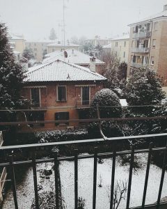 neve Bologna