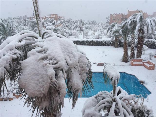 Neve Marocco