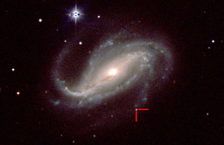 Supernova SN 2016gkg, galassia NGC 613