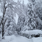 Maltempo, ciclone sull’Italia: nevica in pianura al Nord, emergenza bora a Trieste, allarme alluvione al Sud [FOTO LIVE]