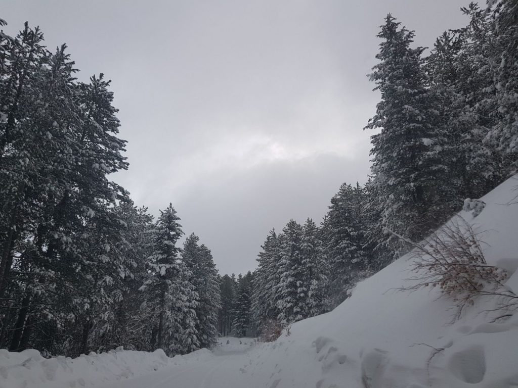 burian 27 febbraio 2018 neve sila