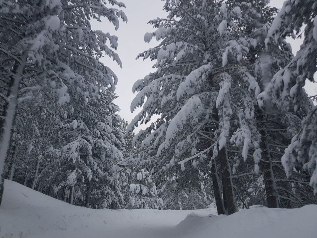 burian 27 febbraio 2018 neve sila