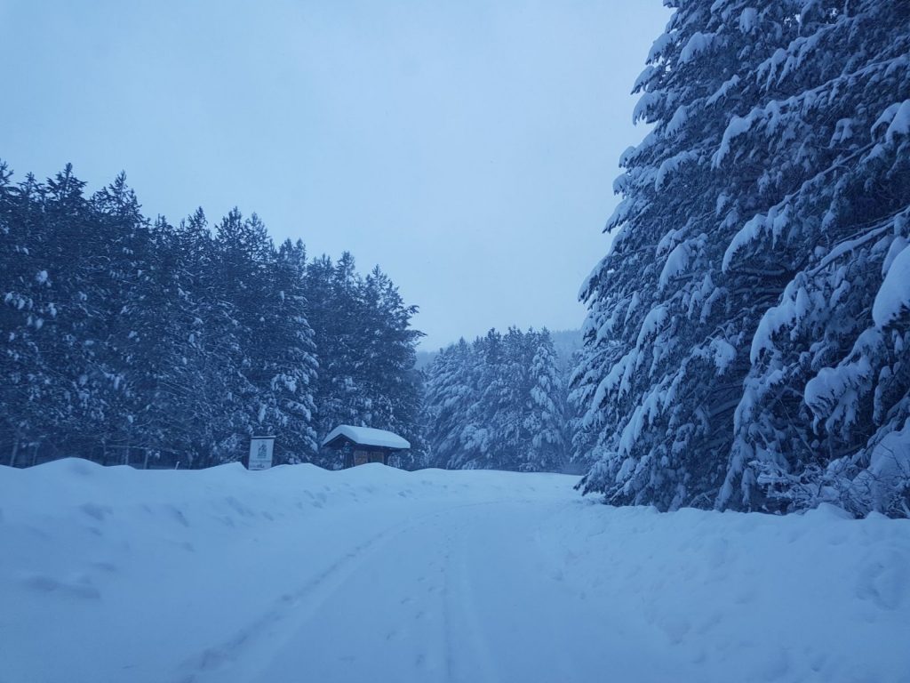 burian 27 febbraio 2018 neve sila