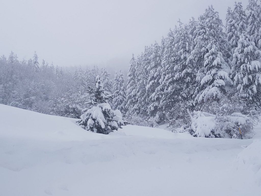 burian 27 febbraio 2018 neve sila