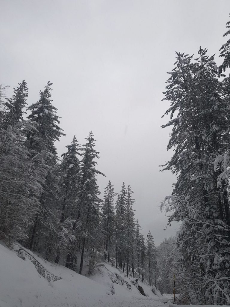 burian 27 febbraio 2018 neve sila