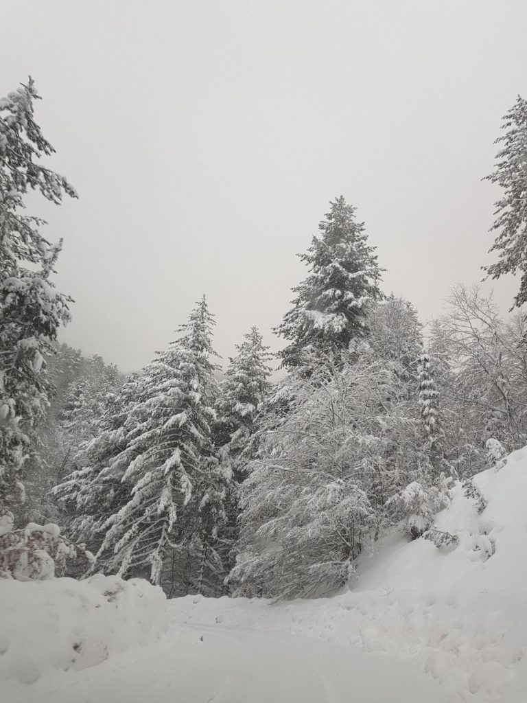 burian 27 febbraio 2018 neve sila