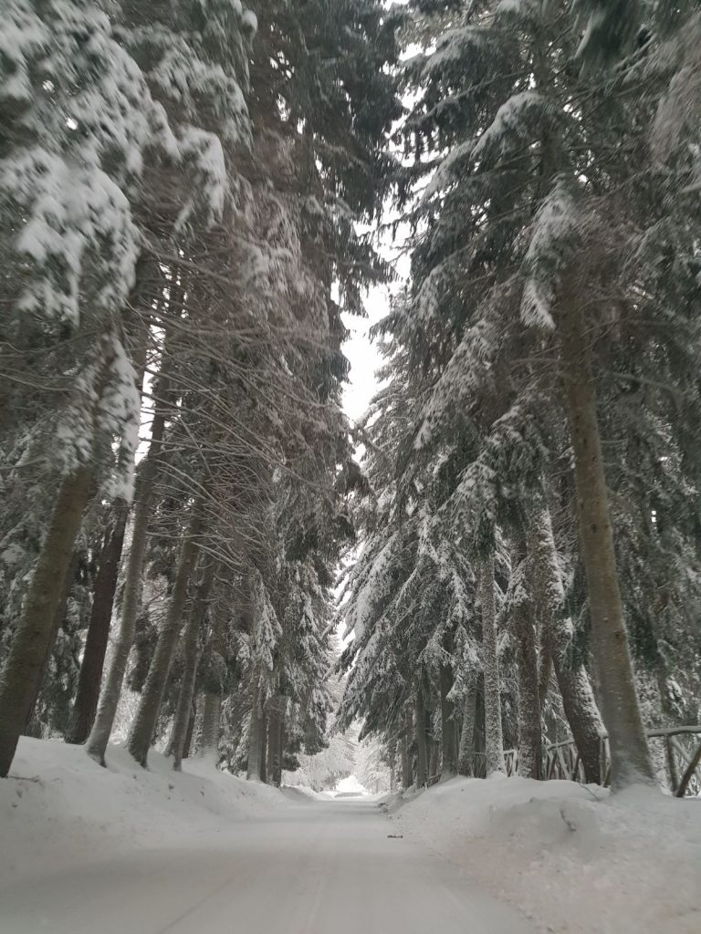 burian 27 febbraio 2018 neve sila