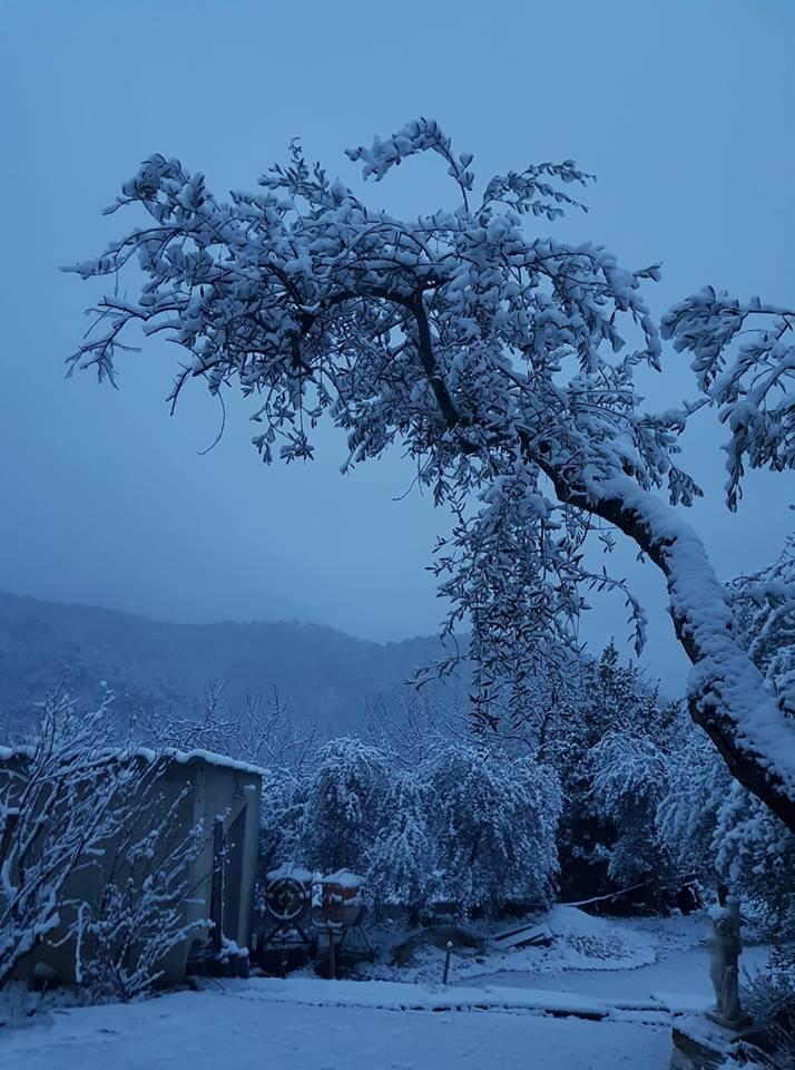 maltempo Francia