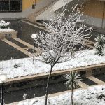 Napoli si risveglia ricoperta dalla neve: imbiancato anche il lungomare [FOTO e VIDEO]