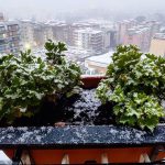 Napoli si risveglia ricoperta dalla neve: imbiancato anche il lungomare [FOTO e VIDEO]