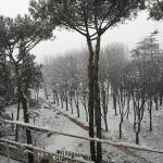 Napoli si risveglia ricoperta dalla neve: imbiancato anche il lungomare [FOTO e VIDEO]