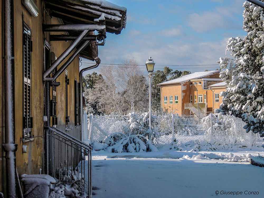 neve Palidoro