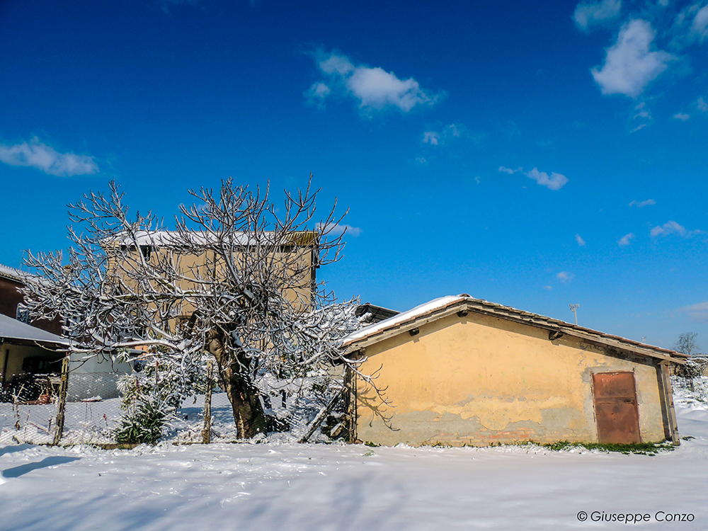 neve Palidoro