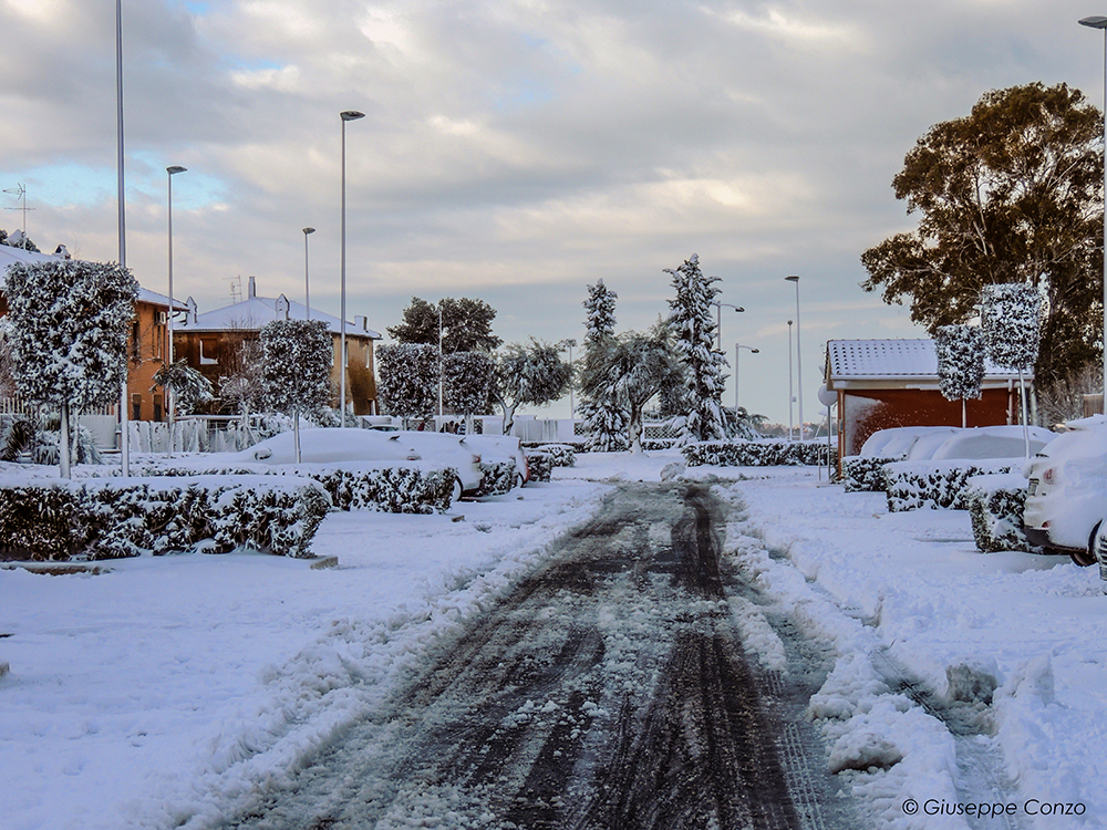 neve Palidoro