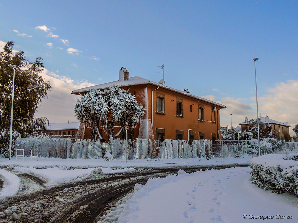 neve Palidoro