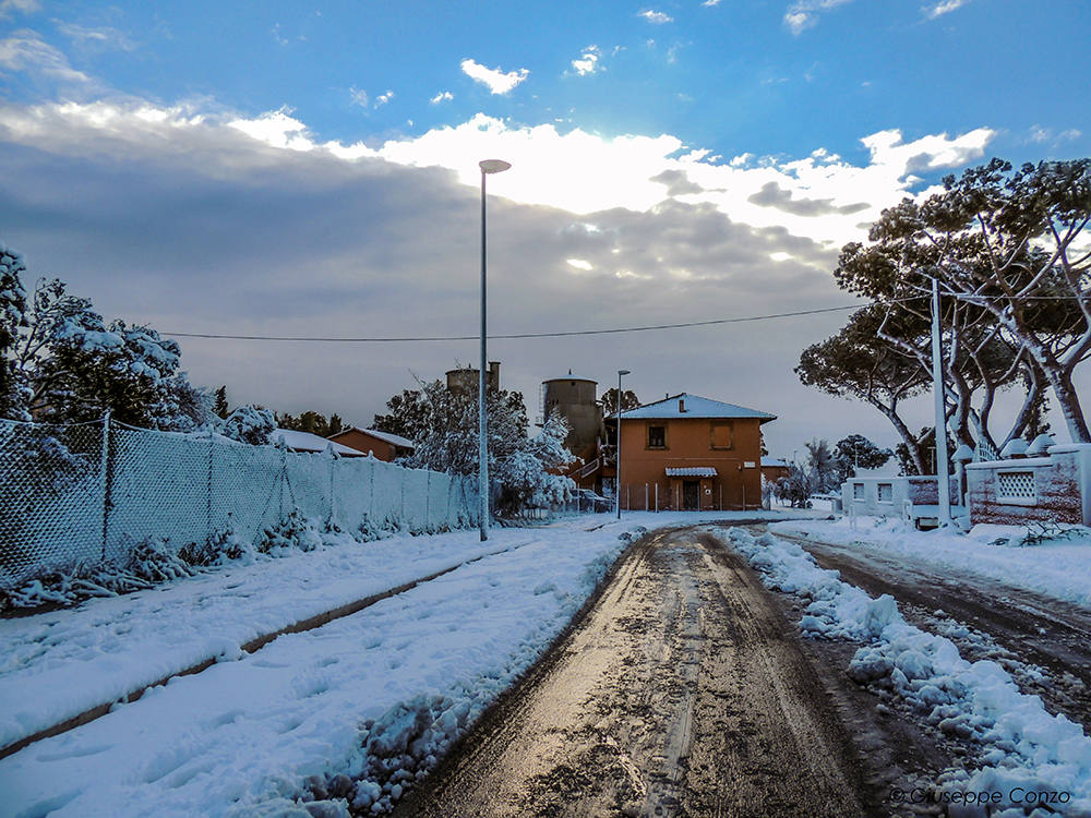 neve Palidoro