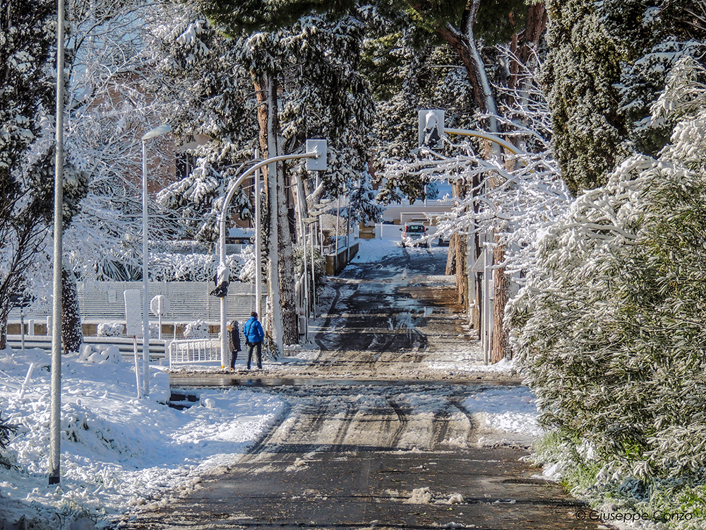 neve Palidoro