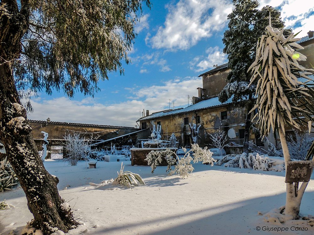 neve Palidoro