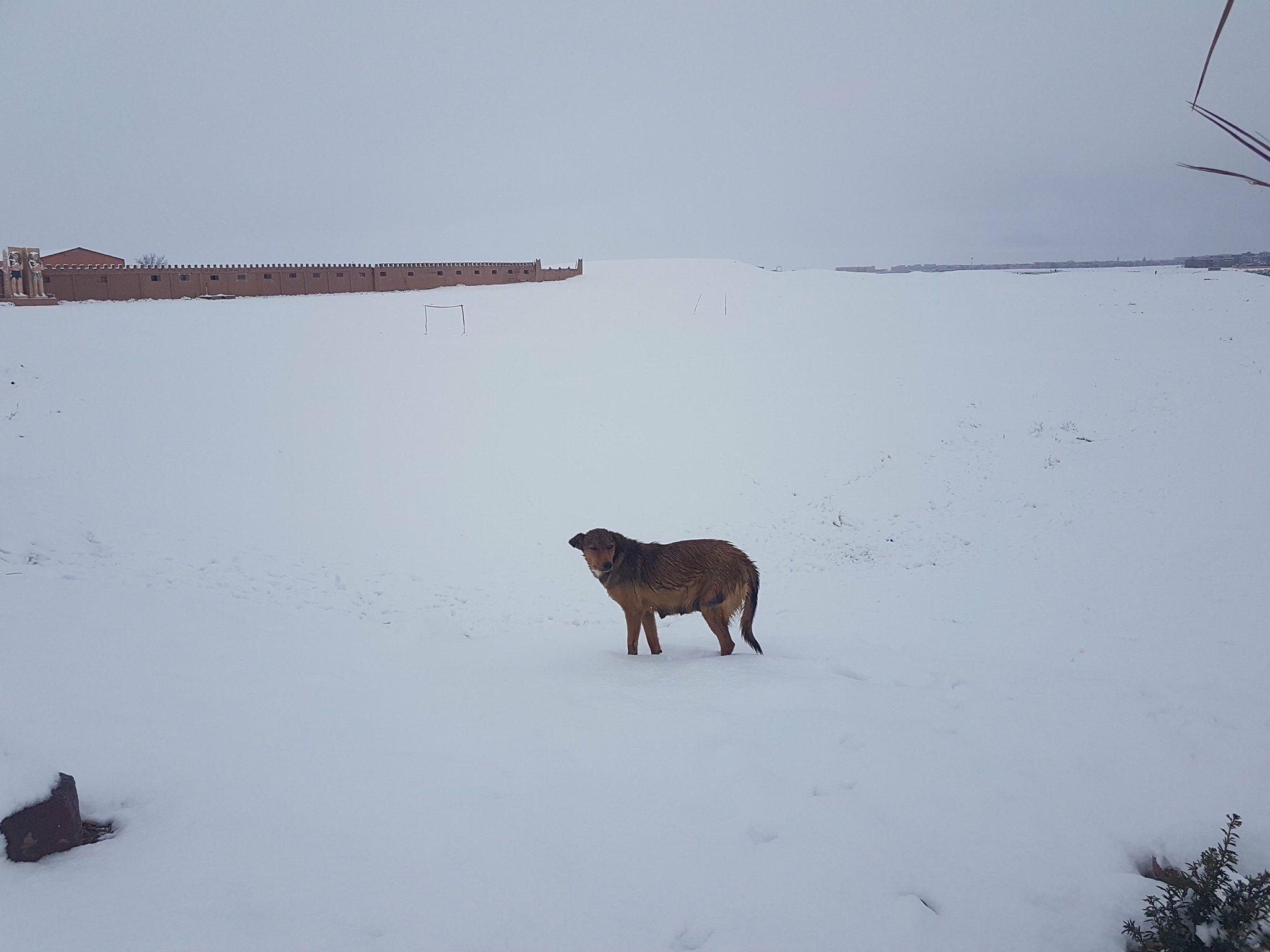 neve marocco