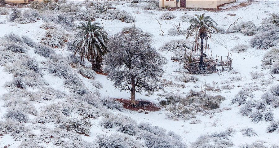 neve sahara ain sefra algeria