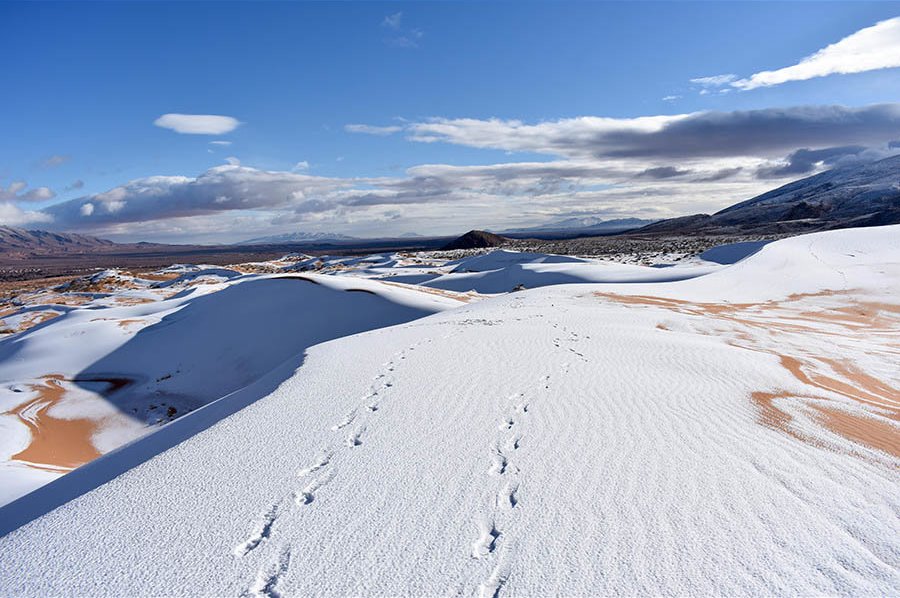 neve sahara ain sefra algeria