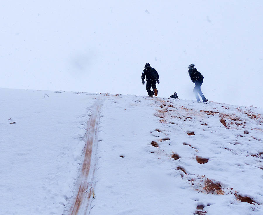 neve sahara ain sefra algeria