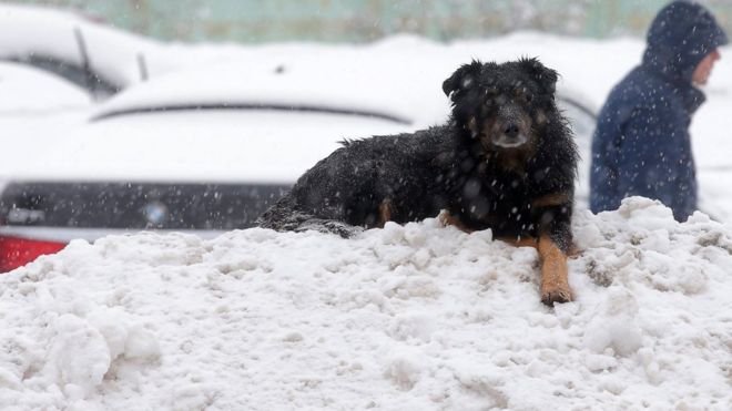 tempesta di neve a Mosca