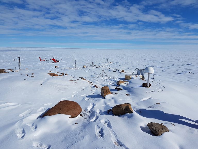 antartide uccelli neve