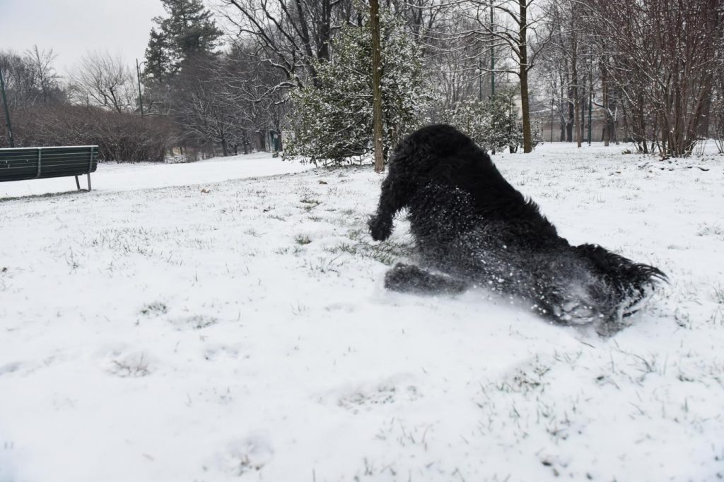 Neve Milano