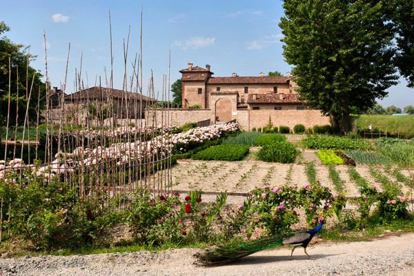 antica corte pallavicina