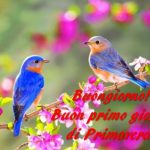 Privato: Equinozio 2019, Buongiorno e Buon Primo Giorno di Primavera! Ecco IMMAGINI e GIF da condividere oggi