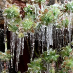 Allerta Meteo, Italia stretta nella morsa di Burian e Scirocco: al Nord tanta neve con -4°C in pianura, gelicidio al Centro mentre al Sud piove con +10°C a 2.000 metri