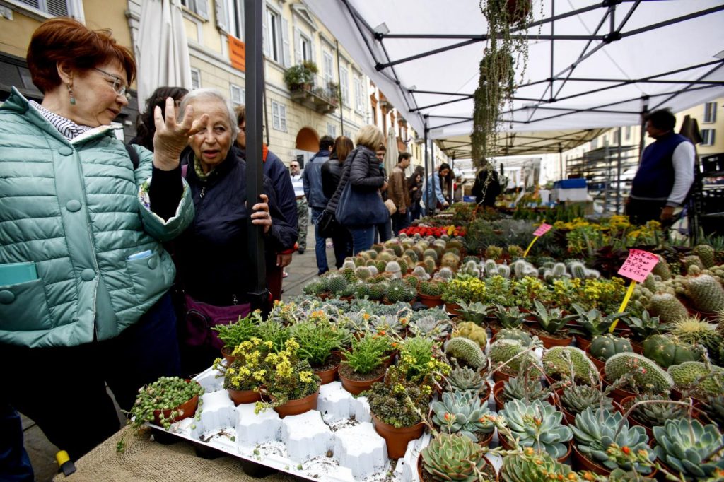 Milano, Fiori e sapori sul naviglio grande (1)