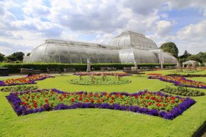 Royal Botanic Kew Gardens Londra