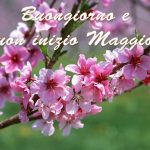 Buongiorno e Buon 1° Maggio 2018: ecco le IMMAGINI più belle da condividere oggi su Facebook e WhatsApp [GALLERY]